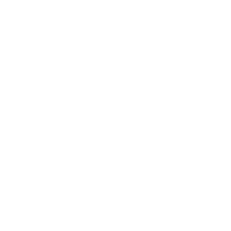 Banpong Tapioca